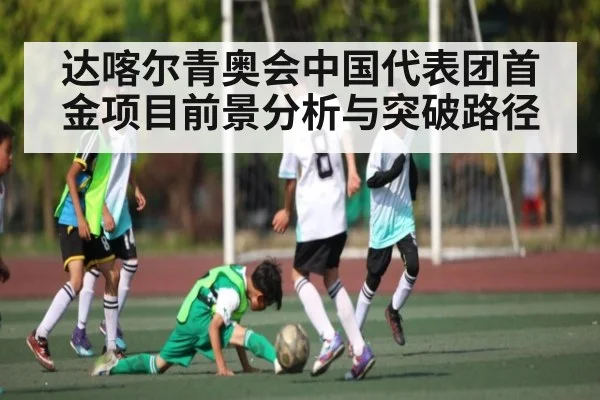 达喀尔青奥会中国代表团首金项目前景分析与突破路径